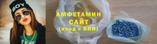 стаф Алзамай